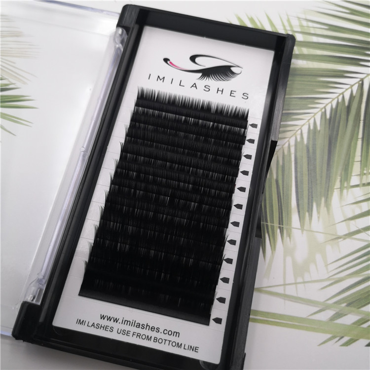 Korean PBT individual eyelash supplies wholesale - A